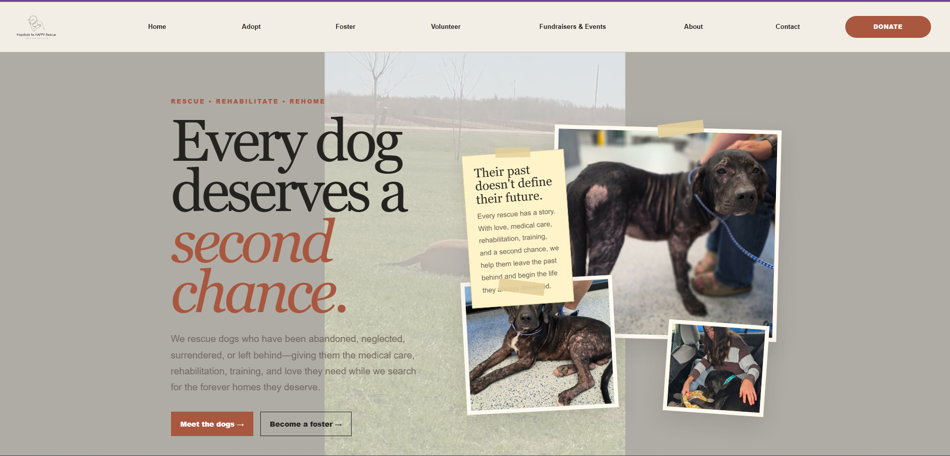 Hopeless to Happy Rescue website homepage